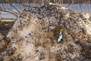 A medical mask is visible in a large pile of dirty melting snow. The concept of the end of the pandemic with the arrival of heat
