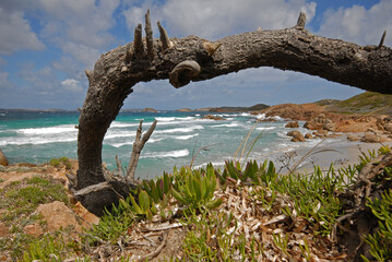 Fototapeta premium Parco Nazionale Arcipelago di La Maddalena. Paesaggio marino, località Bassa Trinita