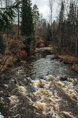 Vertical shot of the river Amata, Latvia surrounded by trees under a cloudy sky, Forest river with view on sandstone cliffs