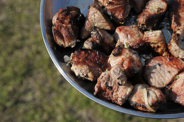 grilled meat in the plate