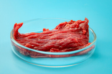 Food engineering, lab grown beef and the diet of the future concept with meat in glass petri dish isolated on blue background in science laboratory