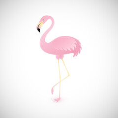 Vector standing pink flamingo