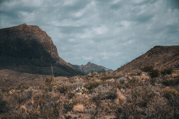 mountains in the desert