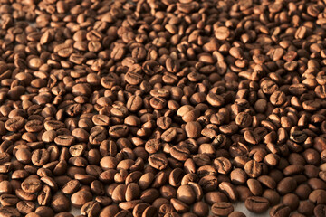 coffee beans background