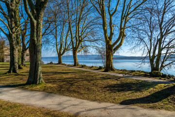 Mettnau Park Radolfzell am Bodensee im Frühjahr mit Sonne und blauen Himmel	
