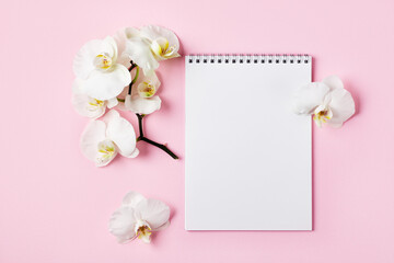 Notebook and white orchid flower on a pink background.