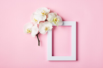 White frame and orchid flower on a pink background.