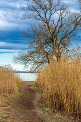 Urlaub am Bodensee Naturschutzgebiet Halbinsel Mettnau