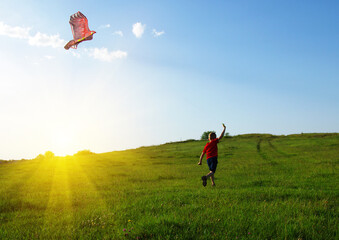  Little boy playing with kite on green field