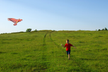  Little boy playing with kite on green field