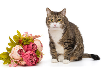 Large grey cat and a bouquet of flowers