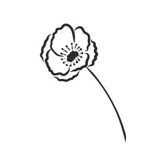 Ink, pencil, the leaves and flowers of Magnolia isolated. Line art transparent background. Hand drawn nature painting. Freehand sketching illustration.