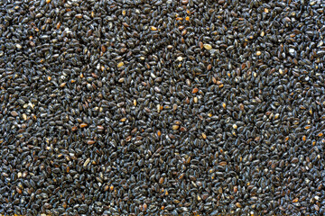 Granola bar. Healthy sweet dessert snack. Black sesame seeds with honey in background, close up