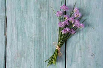 blooming chives on turquoise surface