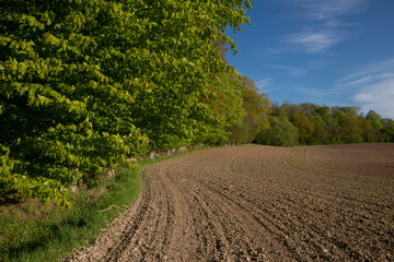 Plougheed farm field with brown soil and forest in spring.
