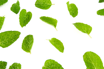 fresh mint isolated on white background