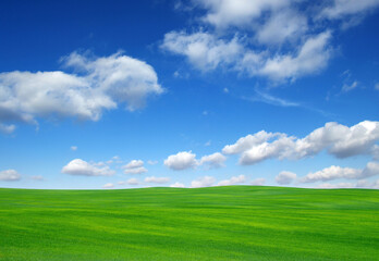 Fototapeta premium field and sky