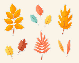 Set of vector stickers leaves in cartoon style. Autumn elements isolated on white background. Clip art yellow, red leaves
