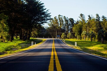 road in the forest
