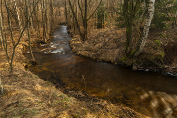 Olsovy creek near Rajec village in cold spring morning