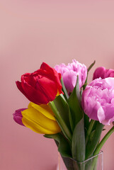 Obraz premium Spring tulip flowers in vase. Mother day