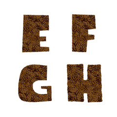 Cheetah fur alphabet - letters E-H