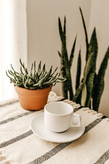 Planta verde em vaso marrom em casa