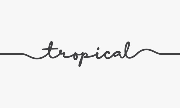 tropical text scipt on white background.