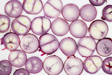 Red onion ring slices on white background. Fresh raw round veggie geometric background from purple onion. Top view or flat lay