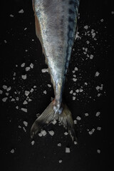 mackerel tail on a black stone cutting board with coarse sea salt sprinkled. view from above. creative artistic moody seafood concept photo
