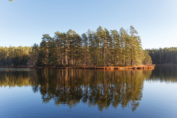 Autumn season mood. Trees with foliage around lake. Estonian countryside.