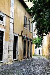Fototapeta na wymiar Old colorful houses and narrow streets of Lisbon