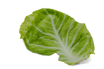 Fototapeta premium leaf of green cabbage on a white background closeup
