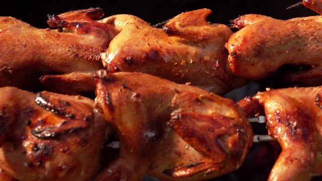 Close-up panorama of delicious juicy quails on the skewer roasting above the open fire outdoors