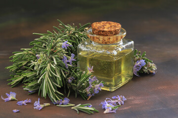 Rosemary oil and rosemary herb in glass bottle; Rosmarinus
