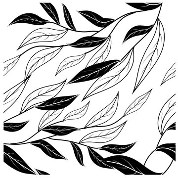 Beautiful cartoon pattern with black branch on white background. Seamless vector texture. Seamless floral pattern.