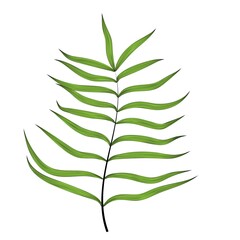 Floral background. Floral tropical jungle.