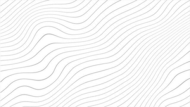 abstract lines white background looped