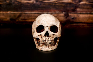 Human skull on a dark wooden background.