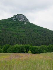 Croatian Landscape