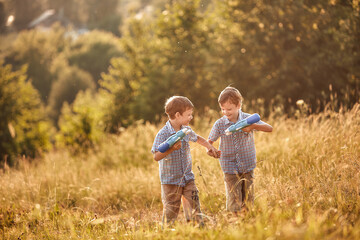 Twin boys play in the summer in the meadow