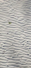 Beautiful sand pattern - nature's work - low tide
