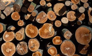 Abstract photo of a pile of natural wooden logs background
