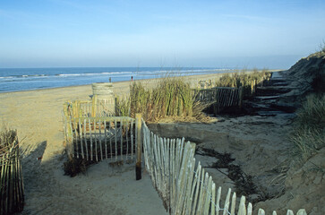 Obraz premium View of beach and sea coastline from headland. Beach grasses and wooden fence. Public footpath through the sand dunes