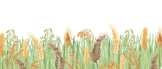 Watercolor hand painted nature field plants banner composition with green grass texture and brown yellow ear cereals bouquet on the white background for design elements and cards