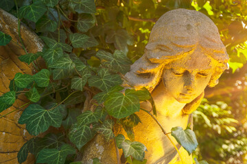 Old angel statue which has become overgrown with ivy. The rays of the sun.