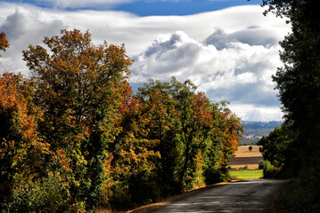 Obraz premium autumn in the park