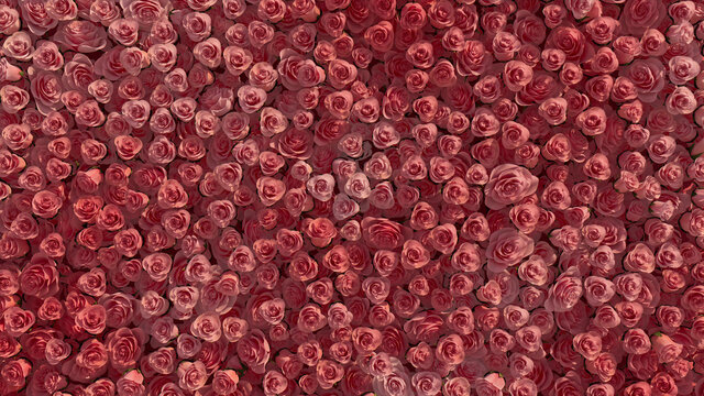 Pink Flowers arranged to create a Colorful wall. Elegant, Romantic Background formed from Bright Roses. 3D Render