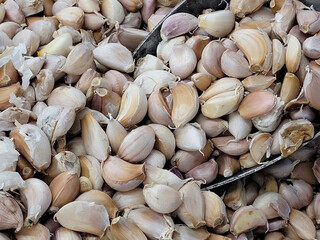 A lot of garlic in the pan