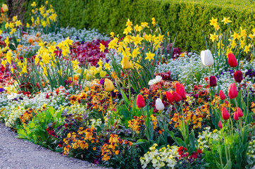 Parterre fleuri en ville de Bâle, avril 2021